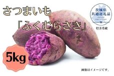 さつまいも「ふくむらさき」5kg(茨城県共通返礼品・行方市産)