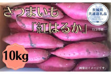 さつまいも「紅はるか」10kg(茨城県共通返礼品・行方市産)