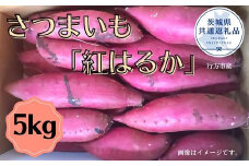さつまいも「紅はるか」5kg(茨城県共通返礼品・行方市産)