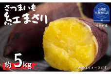 さつまいも　行方甘藷　紅まさり　5kg（茨城県共通返礼品・行方市産）