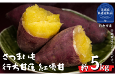 さつまいも　行方甘藷　紅優甘　5kg（茨城県共通返礼品・行方市産）