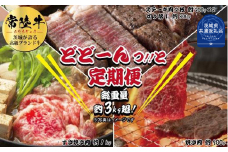 【3ヶ月定期便】常陸牛どどーんっ！と定期便（総重量約3kg超え）（茨城県共通返礼品）