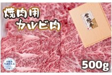 常陸牛 厳選!焼肉用カルビ肉 500g（茨城県共通返礼品）