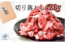 常陸牛 厳選!切り落とし 600g（茨城県共通返礼品）