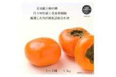 【2025年発送】皇室献上柿の郷より真家果樹園【柿】多品種詰め合わせ（11～13玉）約3.5kg　太秋・富有など（茨城県共通返礼品・石岡市産）