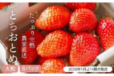【2026年1月より発送】いちご専門農家直送！朝摘み収穫したての完熟とちおとめ2箱（1箱4パック入り） ／ とちおとめ いちご 苺 イチゴ 完熟 果物 フルーツ 予約 先行予約 茨城県 茨城 利根町 