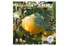 【2025年先行予約】 ＼大玉秀品／有機肥料栽培された幻の高級柿「太秋柿」3.5kg（9～12玉）朝どり産地直送（茨城県共通返礼品・かすみがうら市）