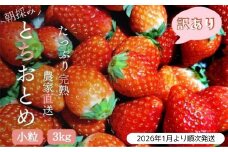 【2026年1月より発送】いちご専門農家直送！朝摘み収穫したて小粒完熟とちおとめ 3kg ジャム用におススメ！ ／ いちご 苺 イチゴ とちおとめ 完熟 果物 フルーツ 予約 先行予約 茨城 茨城県 利根町