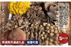 きのこ詰め合わせ　Sサイズ（茨城県共通返礼品／城里町産）
