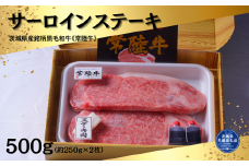 常陸牛サーロインステーキ500g (約250g×2枚）（茨城県共通返礼品）
