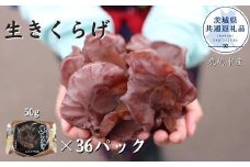 きくらげ　1パック50g×36パック （茨城県共通返礼品／鹿嶋市産）