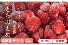【訳あり/2026年3月より発送】完熟朝摘みとれたての冷凍いちご とちおとめ 約1kg ／ 農家直送 とちおとめ いちご 苺 イチゴ 完熟 冷凍 真空パック 果物 フルーツ 予約 先行予約 訳あり 訳アリ 茨城県 茨城 利根町  1kg