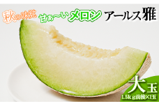 アールス雅メロン（大玉1.5㎏前後）1玉
