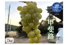 【先行予約】開田ぶどう園　甲斐路 2kg（茨城県共通返礼品・石岡市産） ／  ぶどう 葡萄 ブドウ 果物 フルーツ 甲斐路 2kg