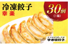 ＜幸楽＞　餃子30個入り