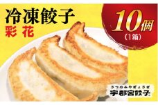 ＜彩花＞　餃子10個入り