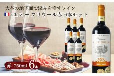 大谷の天然地下蔵で深みを増すワイン ボルドー赤 Ch オー プリウール 6本セット【配送不可地域：離島】
