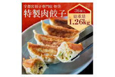 テレビで紹介！餃子専門店 宇都宮 悟空 特製肉餃子36個入 ❘ 餃子 冷凍 ぎょうざ ギョーザ 大容量 肉たっぷり 肉多め 大きい 人気 名物 行列 国産野菜 国産豚肉 ジューシー スタミナ パリパリ もちもち グルメ おかず おつまみ 栃木県 簡単 小分け 冷凍食品 ※離島への配送不可