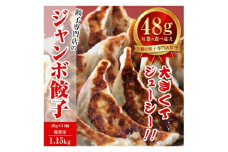 餃子専門店 宇都宮 悟空 ジャンボ餃子24個入 ❘ 餃子 冷凍 ぎょうざ ギョーザ  大容量 肉たっぷり 肉多め ジャンボ 大きい 人気 名物 行列 国産野菜 国産豚肉 ジューシー スタミナ パリパリ もちもち グルメ おかず おつまみ  栃木県 簡単 小分け 冷凍食品 ※離島への配送不可