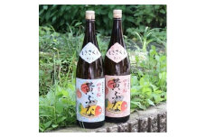 四季桜　無病息災セット