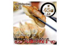 宇都宮発　これが大地の餃子です　計45個入り(1箱15個入り×3箱)