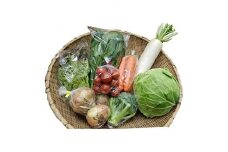 宇都宮産　季節の野菜セット　生産者直送