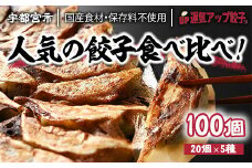 宇都宮餃子 運気アップ餃子  5種類味比べ(合計100個)【 餃子 食べ比べセット 冷凍餃子 冷凍食品 惣菜 栃木県 宇都宮市 】※配送不可地域：離島