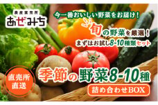 農産直売所あぜみち 新鮮野菜 詰め合わせ【 野菜 セット 旬の野菜 国産 栃木県 宇都宮市 】※配送不可地域：離島