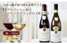 大谷の天然地下蔵で深みを増すワインブルゴーニュ赤白 プルミエクリュ含む 2本セット【配送不可地域：離島】