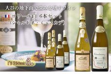 大谷の天然地下蔵で深みを増すワイン ロワール(シャルドネ・ミュスカデ)白 6本セット【配送不可地域：離島】