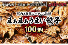 宇都宮餃子 運気アップ餃子  まあまあウマイ餃子 100個 保存料不使用【 餃子 ぎょうざ 冷凍餃子 冷凍食品 惣菜 栃木県 宇都宮市 】※配送不可地域：離島