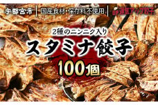 宇都宮餃子 運気アップ餃子  ニンニクマシマシ スタミナ餃子 100個 保存料不使用【冷凍餃子 ぎょうざ ギョウザ にんにく 冷凍食品 惣菜 栃木県 宇都宮市 】※配送不可地域：離島