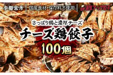 宇都宮餃子 運気アップ餃子  チーズ鶏餃子 100個 保存料不使用【 餃子 ぎょうざ 冷凍餃子 冷凍食品 惣菜 栃木県 宇都宮市 】※配送不可地域：離島