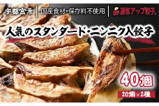 宇都宮餃子 運気アップ餃子  2種類味比べ(合計40個)【餃子 ぎょうざ ギョウザ 食べ比べセット 冷凍餃子 冷凍食品 惣菜 栃木県 宇都宮市 】※配送不可地域：離島