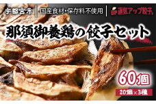 宇都宮餃子 運気アップ餃子  鶏餃子 3種類味比べ(合計60個)【 餃子 食べ比べセット 冷凍餃子 冷凍食品 惣菜 栃木県 宇都宮市 】※配送不可地域：離島