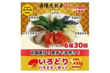 宇都宮餃子 寿限無 餃子のいろどりバラエティセット(6種30個)