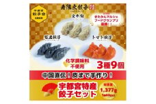 宇都宮餃子 寿限無 宇都宮特産餃子セット(3種×各3個・計9個入り)