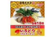 宇都宮餃子 寿限無 餃子のいろどりバラエティセット(6種×各3個・計18個入り)