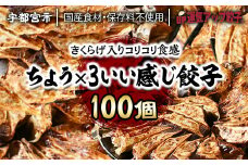 宇都宮餃子 運気アップ餃子  ちょう×3いい感じ餃子 100個 保存料不使用【 餃子 ぎょうざ 冷凍餃子 冷凍食品 惣菜 栃木県 宇都宮市 】※配送不可地域：離島