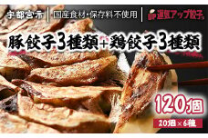 宇都宮餃子 運気アップ餃子  6種類味比べ(合計120個)【 餃子 食べ比べセット 冷凍餃子 冷凍食品 惣菜 栃木県 宇都宮市 】※配送不可地域：離島