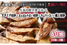 宇都宮餃子 運気アップ餃子  豚餃子 3種類(合計60個)【 餃子 食べ比べセット 冷凍餃子 冷凍食品 惣菜 栃木県 宇都宮市 】※配送不可地域：離島