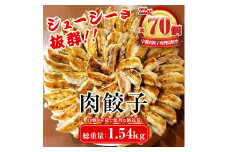 餃子専門店 宇都宮 悟空 肉餃子 22g×70個入 ❘ 餃子 冷凍 ぎょうざ ギョーザ  大容量  肉たっぷり 肉多め 人気 名物 行列 国産野菜 国産豚肉 ジューシー スタミナ パリパリ もちもち グルメ おかず おつまみ  栃木県 簡単 小分け 冷凍食品※離島への配送不可