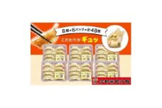 「宇都宮餃子館」のチーズ餃子 8個入り×6パック(計48個)