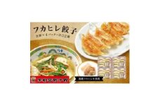 「宇都宮餃子館」のフカヒレ餃子 8個入り×4パック(計32個)
