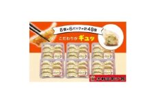 「宇都宮餃子館」のしょうが餃子 8個入り×6パック(計48個)