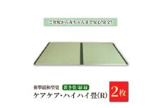 衝撃緩和型畳「ケアケア・ハイハイ畳(R)」ご年配から赤ちゃんまで安心!安全!置き畳2枚　緑縁