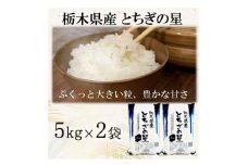 【令和6年産】栃木県産とちぎの星 （精米）5kg×2袋 ｜ お米 白米 一等米 送料無料 栃木県 宇都宮市　※離島への配送不可