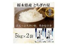 【令和7年産】栃木県産とちぎの星 （精米）5kg×2袋 ｜ お米 白米 一等米 送料無料 栃木県 宇都宮市　※離島への配送不可