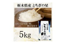 【令和6年産】栃木県産とちぎの星（精米）5kg×1袋 ｜ お米 白米 一等米 送料無料 栃木県 宇都宮市　※離島への配送不可