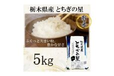 【令和7年産】栃木県産とちぎの星（精米）5kg×1袋 ｜ お米 白米 一等米 送料無料 栃木県 宇都宮市　※離島への配送不可